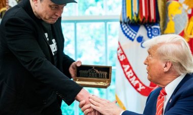 من التحالف إلى الصدام: قصة الخلاف بين دونالد ترامب وإيلون ماسك