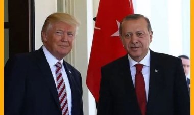 الرئيس أردوغان والرئيس ترمب ناقشا الملف السوري