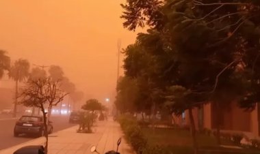 عاصفة ترابية تضرب أكادير جنوب المغرب وتسقط الأشجار