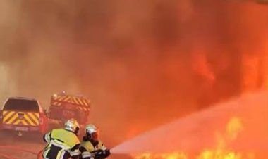 حرائق الغابات تضرب أنطاليا وجناق قلعة.. وفرق الإطفاء تواصل جهودها للسيطرة على النيران